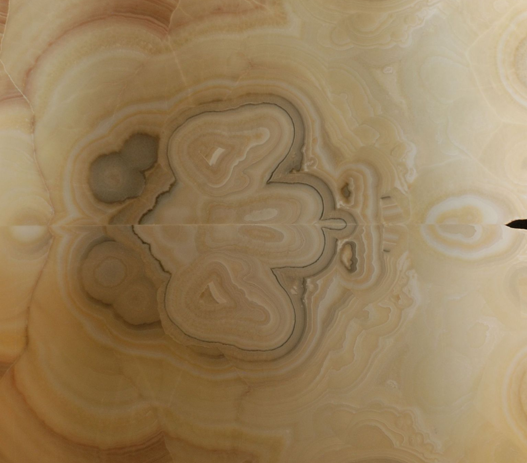 Terra 1