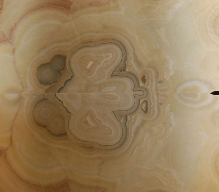 Terra 1